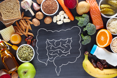 illustration of digestive tract surrounded by foods for gut health