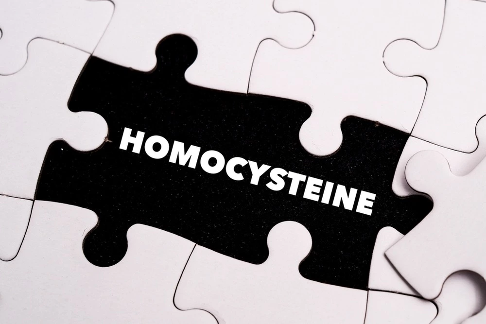 puzzle with HOMOCYSTEINE in place of missing puzzle piece